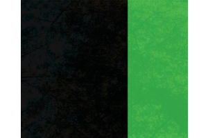 The Environmental Effects of Black Friday