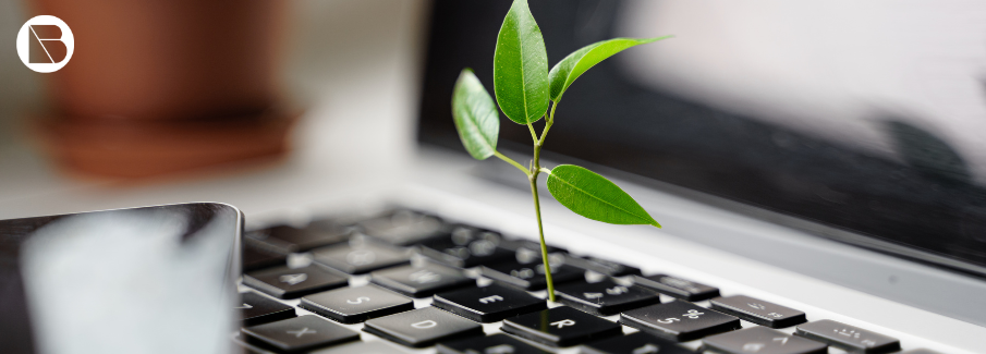 The environmental implications of Windows 10 
