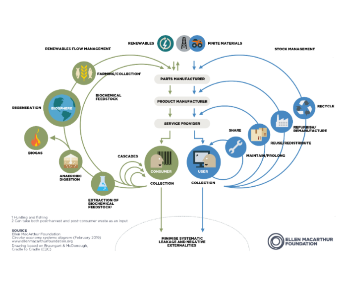 The Circular Economy 