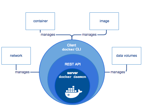 Software Docker