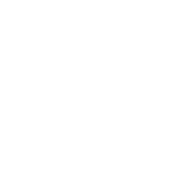 HDD Shredding