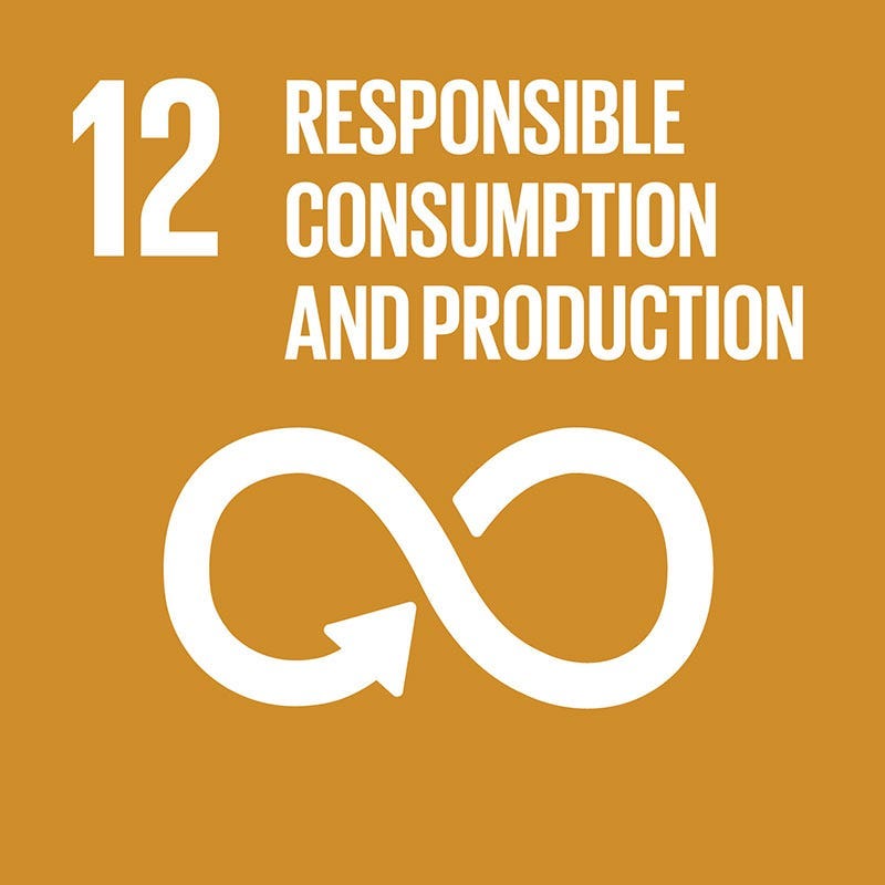 Responsible Consumption and Production Logo